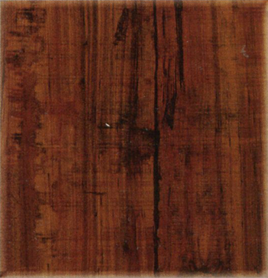 MK2828-加拿大鐵杉