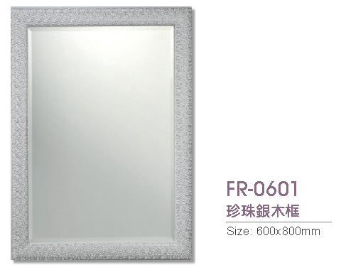 FR-0601-1