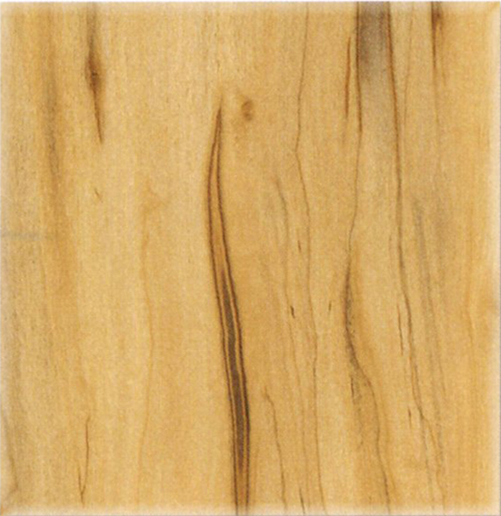 MK6473-馬德里高山柏