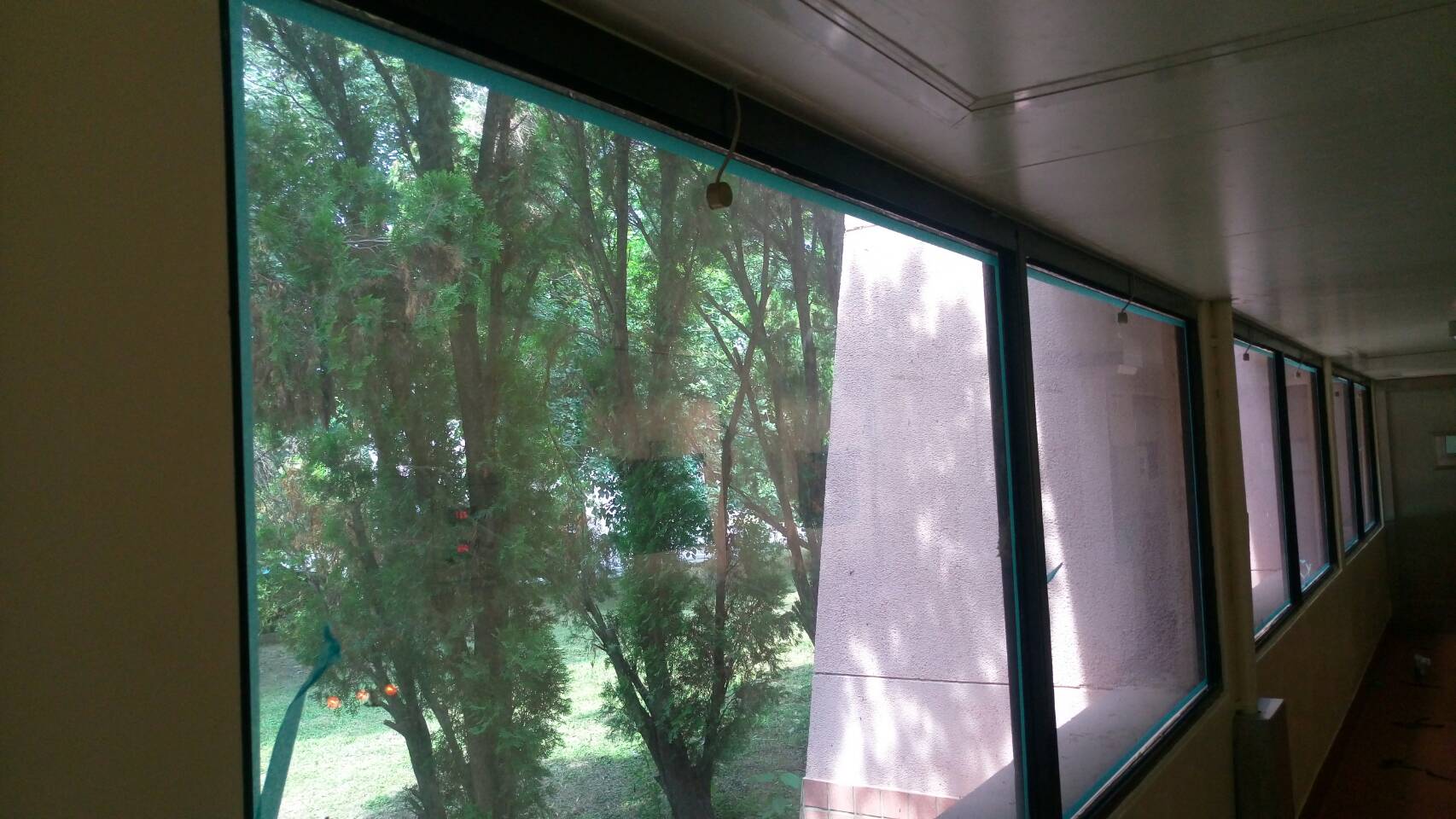 行政院農業委員會農業藥物毒物試驗所-2