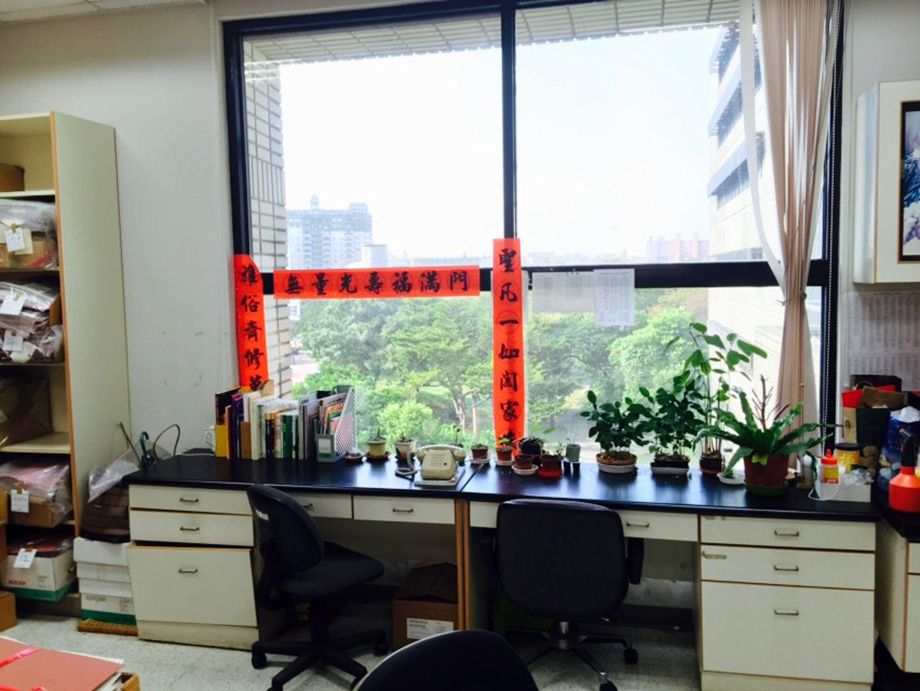 節能膜保固五年系列