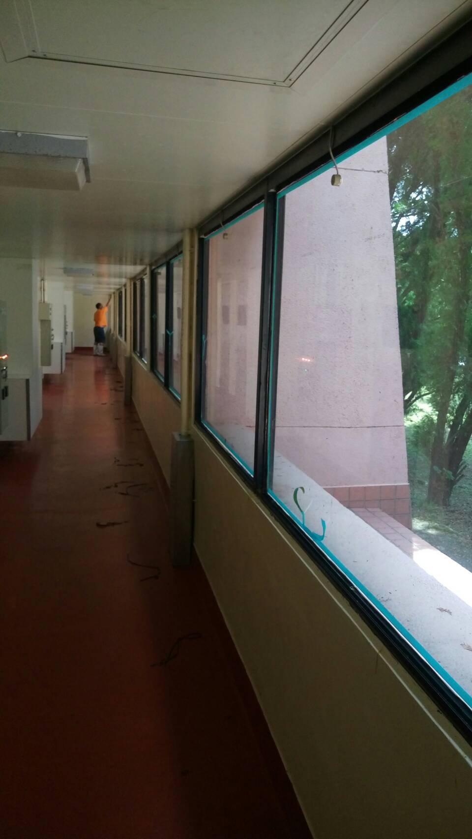 行政院農業委員會農業藥物毒物試驗所-1