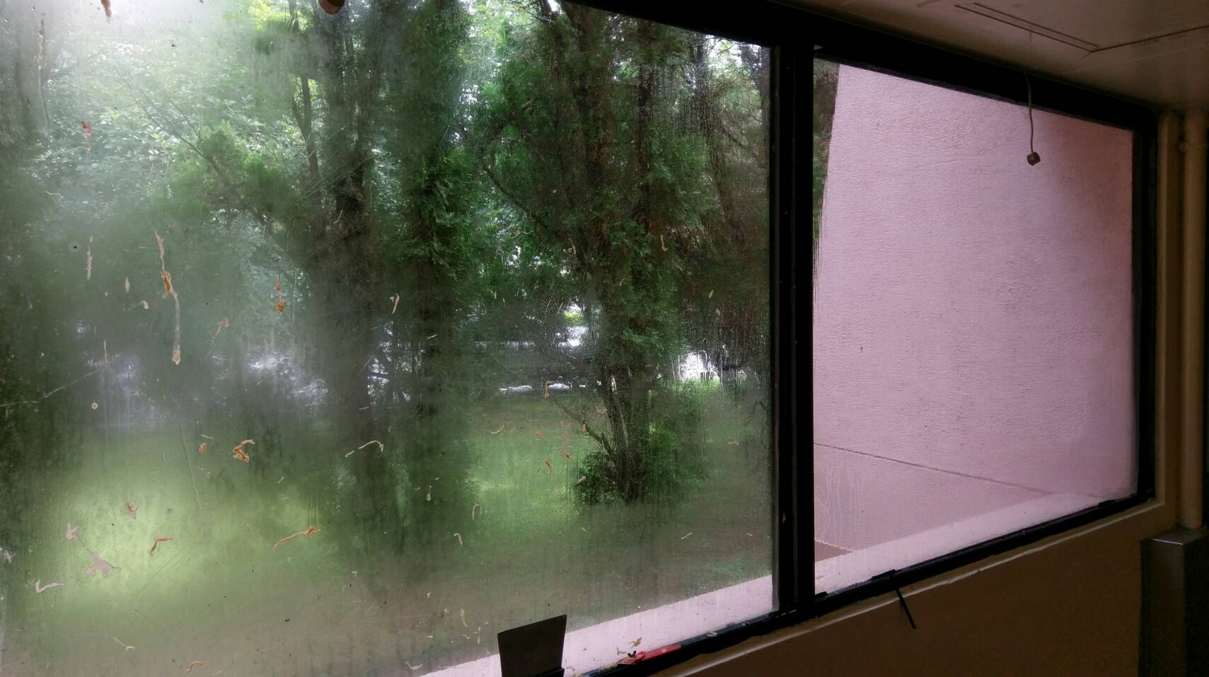 行政院農業委員會農業藥物毒物試驗所-6