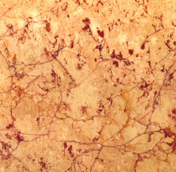 P132-Rosalia土耳其玫瑰