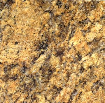 P100-GialloVeneziano