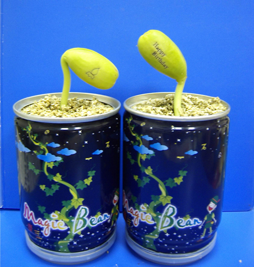 魔豆(HappyBirthday)