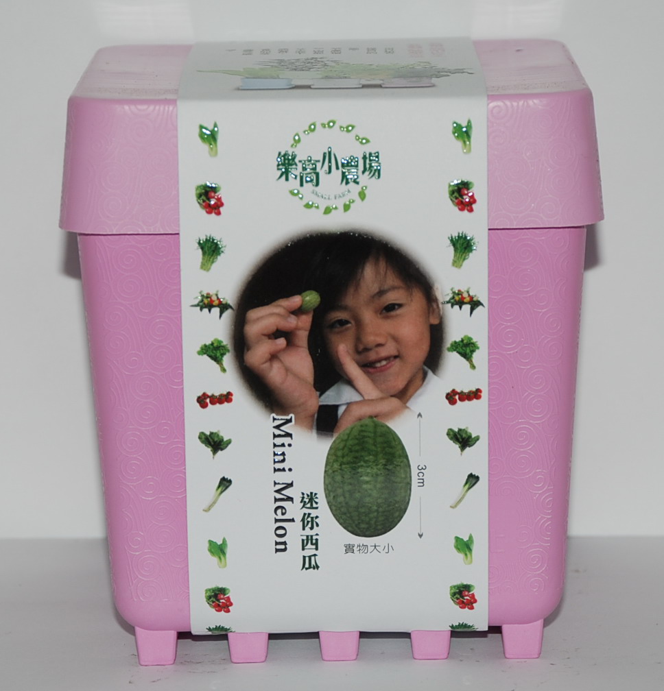 迷你西瓜