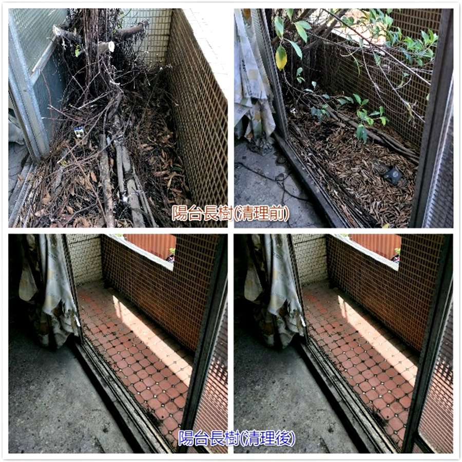 陽台樹木移除