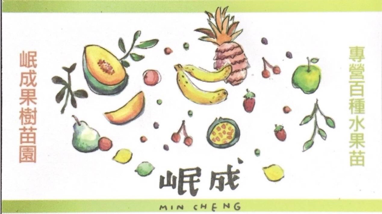 岷成果樹苗園/果語樹學/果樹苗專賣店/苗圃/種苗店/高雄燕巢種苗/榴槤苗/山竹苗/紅毛丹/椰柿/四季紅寶石龍眼/芭樂苗/芒果苗/荔枝苗