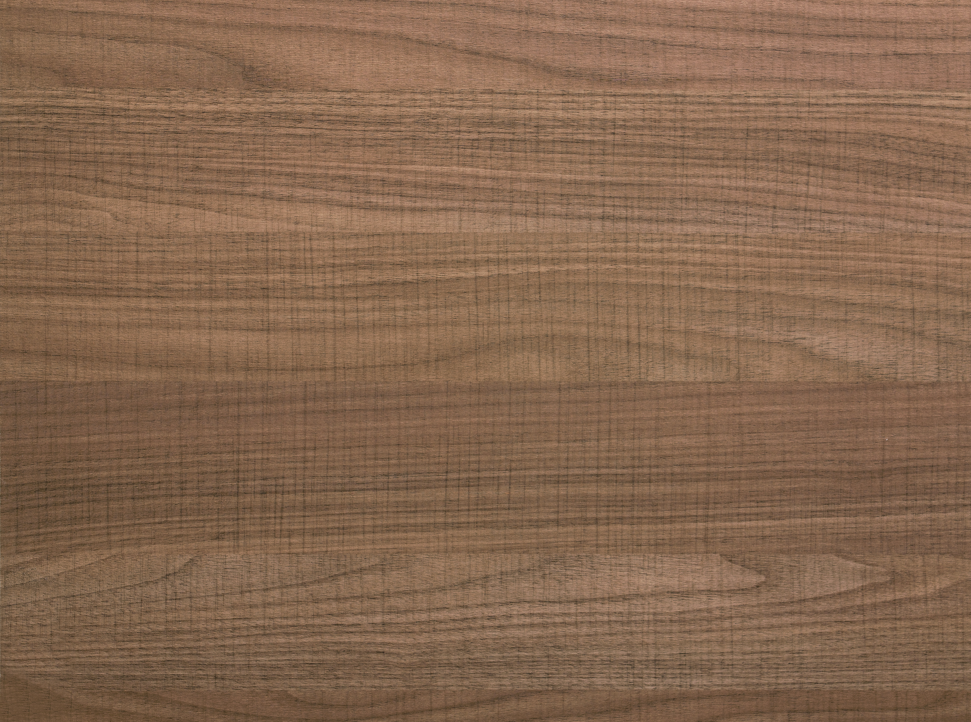 Ｋ2353-切爾克斯核桃