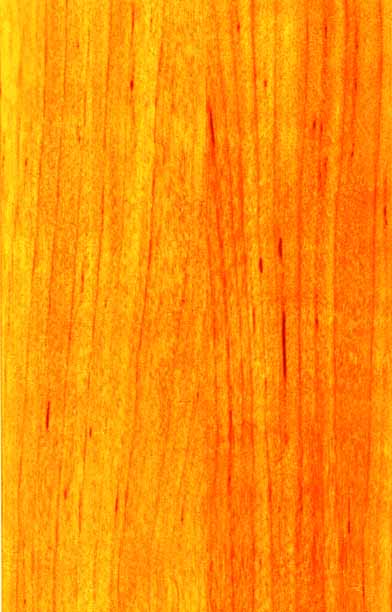 印刷輪櫥櫃木紋