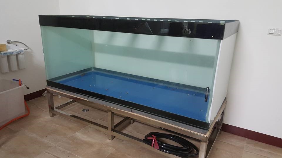 高雄水族箱搬運