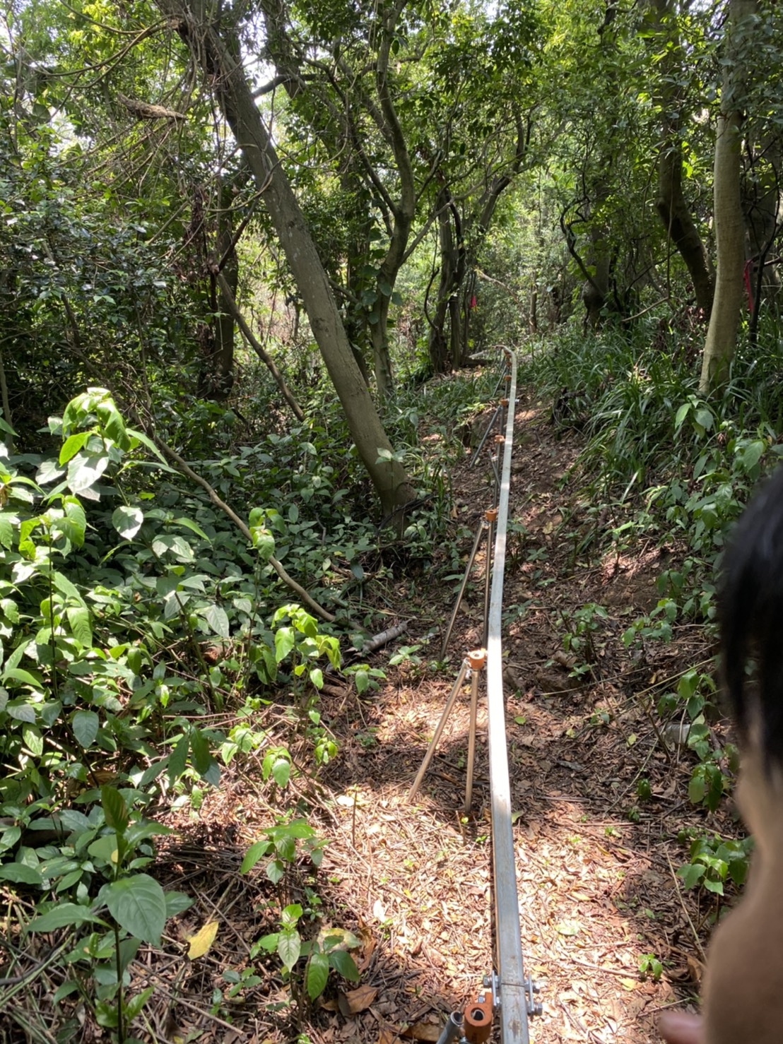 齒合式單軌搬運車