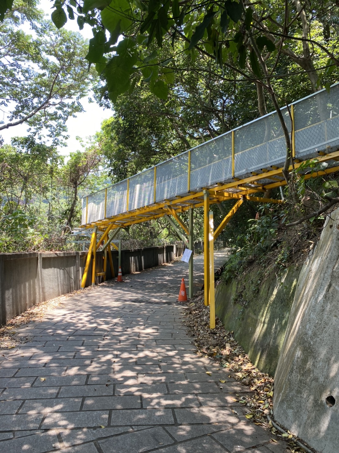 齒合式單軌搬運車