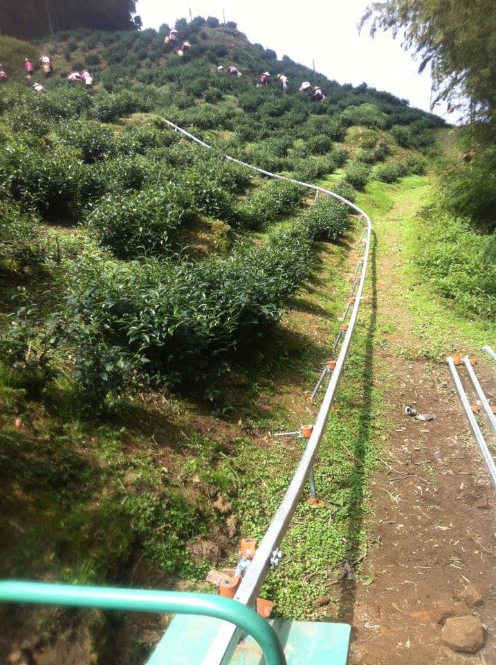 高昇機械有限公司5