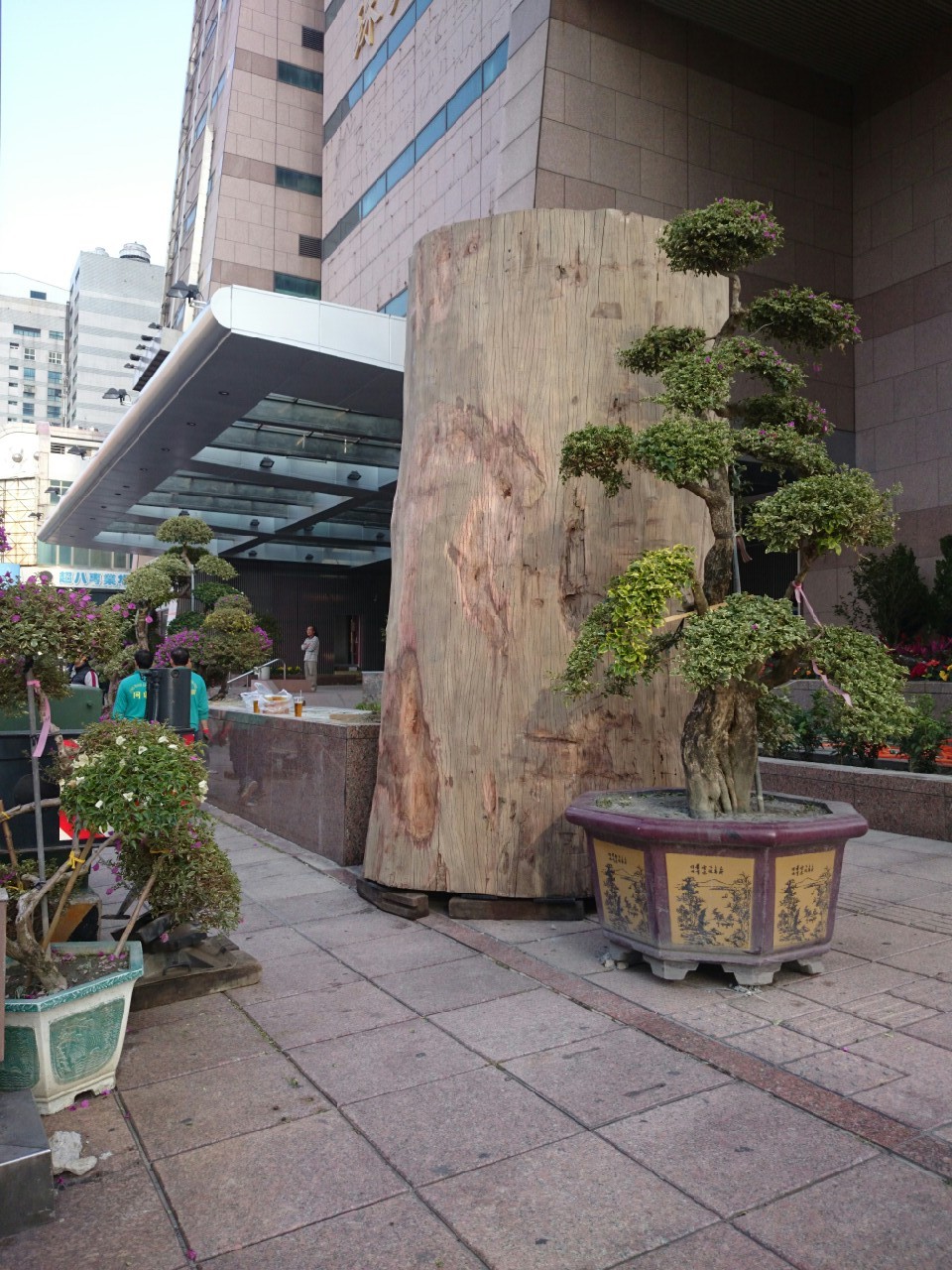 綺麗珊瑚館吊掛作業