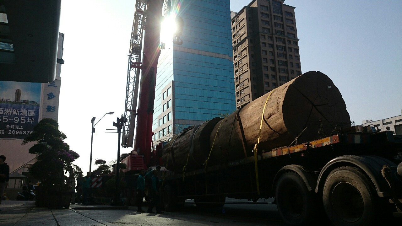 綺麗珊瑚館吊掛作業