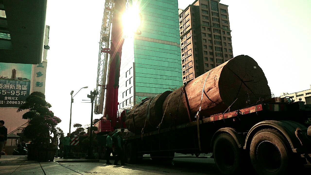 綺麗珊瑚館吊掛作業