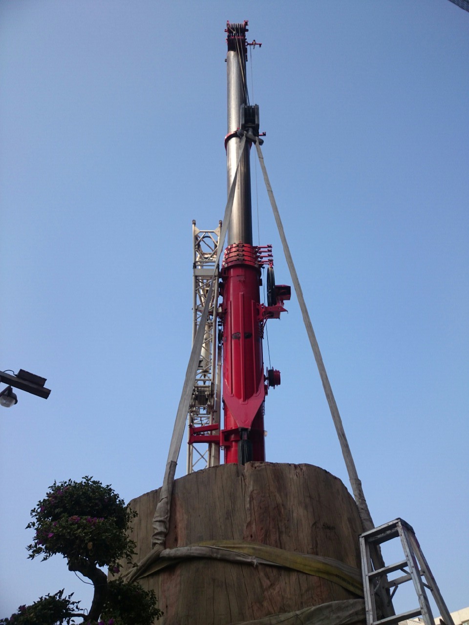 綺麗珊瑚館吊掛作業