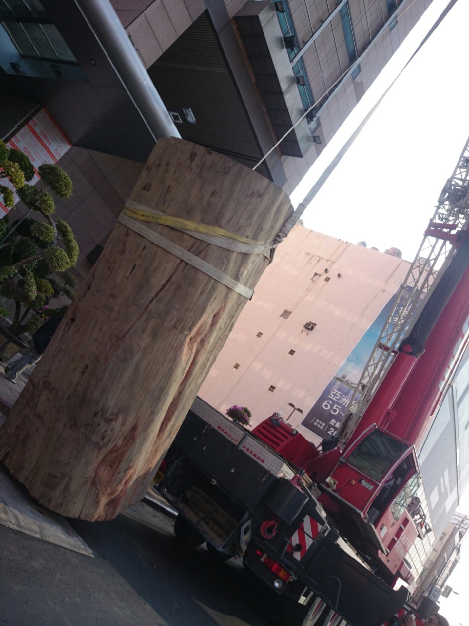 綺麗珊瑚館吊掛作業