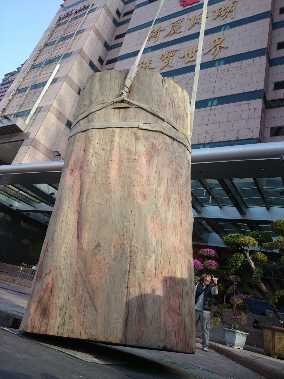 綺麗珊瑚館吊掛作業