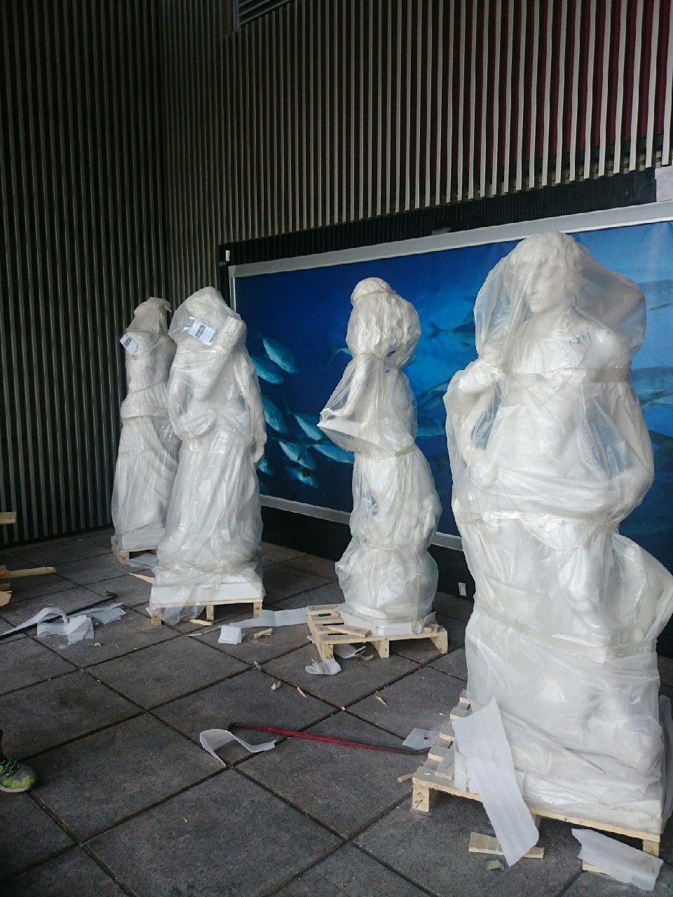 綺麗珊瑚館吊掛作業