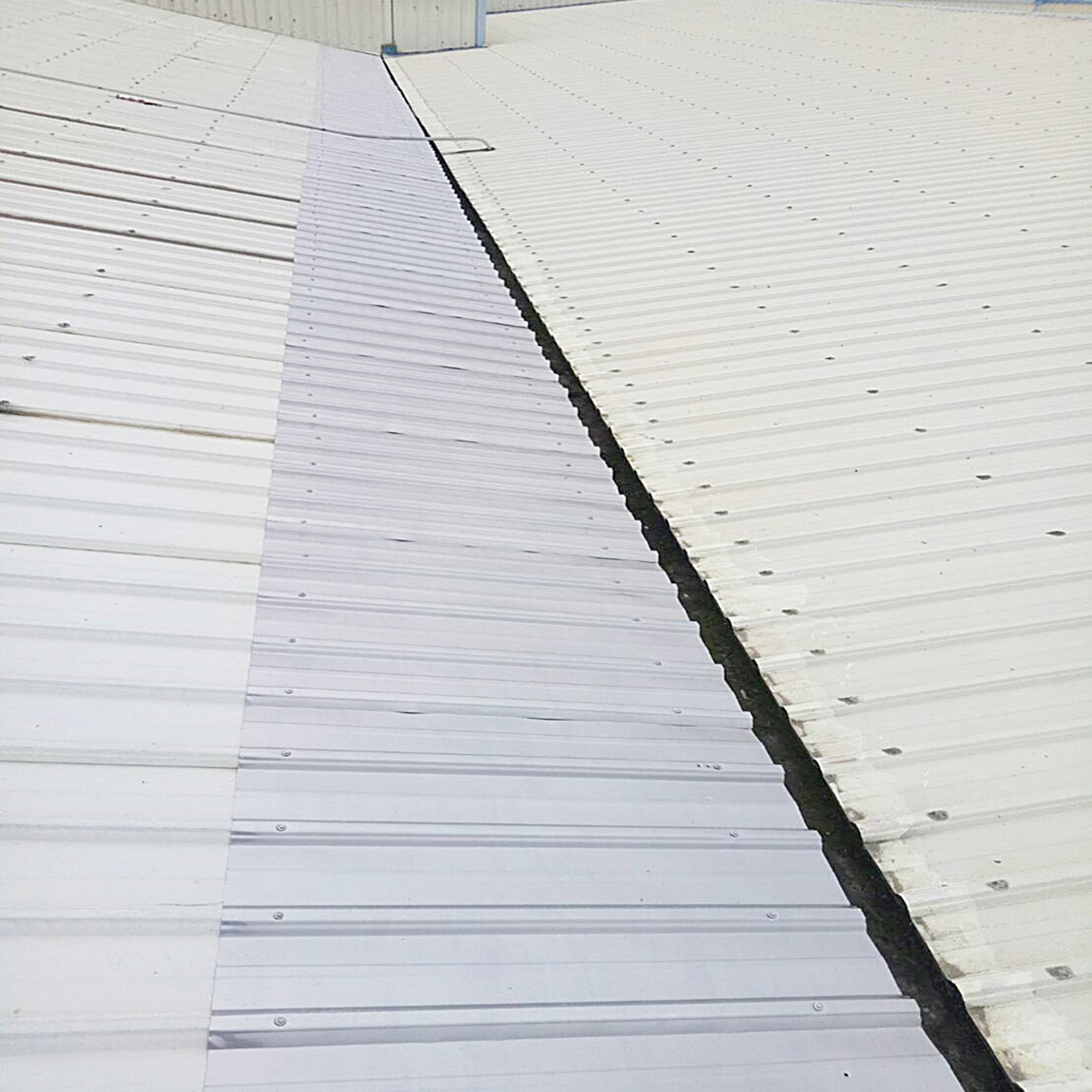 舊屋鐵皮屋頂換板