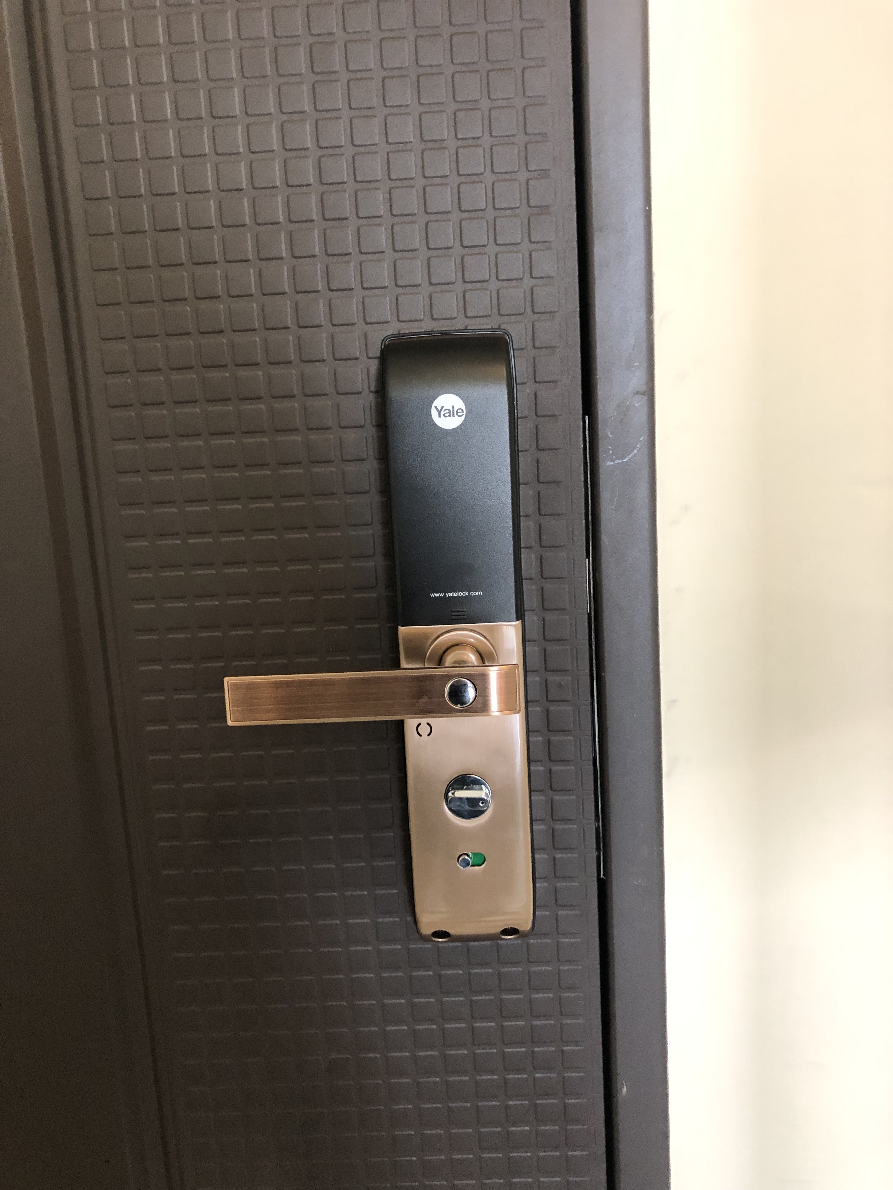 高雄電子鎖、指紋鎖、密碼鎖、高雄感應鎖、高雄配鎖、高雄電子鎖推薦、電子鎖安裝