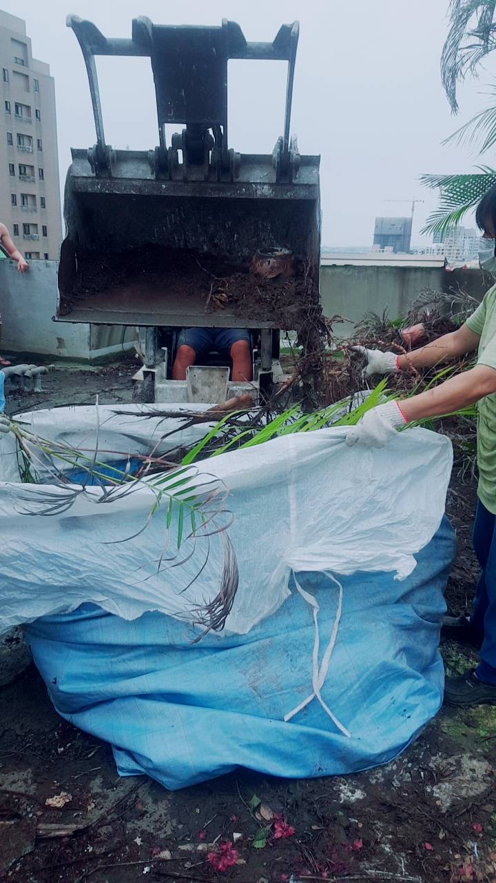 大樓植物景觀花園清運&nbsp;