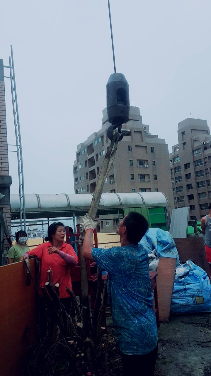 大樓植物景觀花園清運&nbsp;