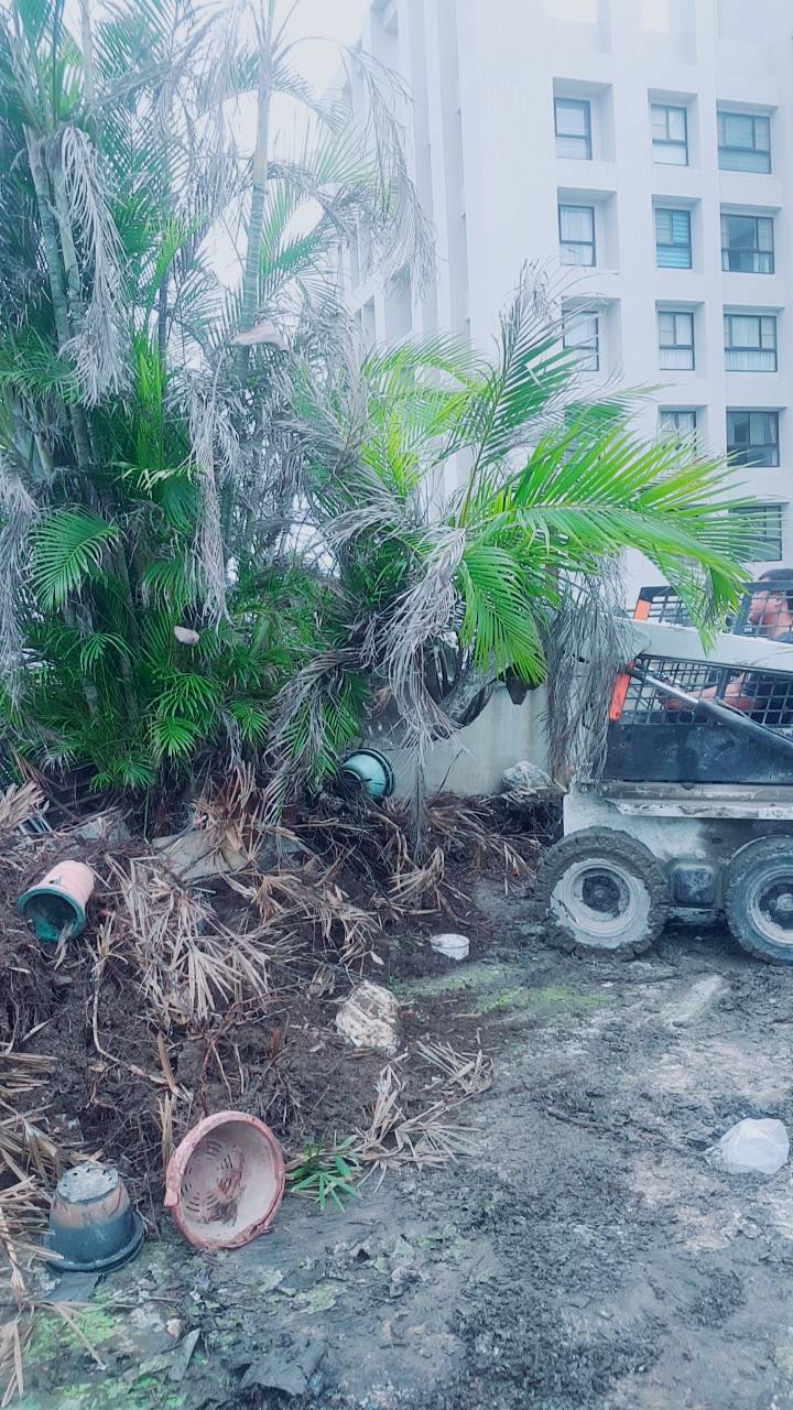 大樓植物景觀花園清運