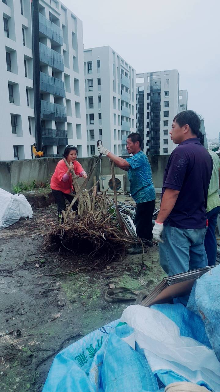 大樓植物景觀花園清運&nbsp;