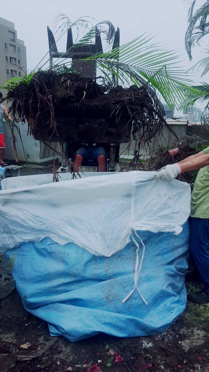 大樓植物景觀花園清運&nbsp;
