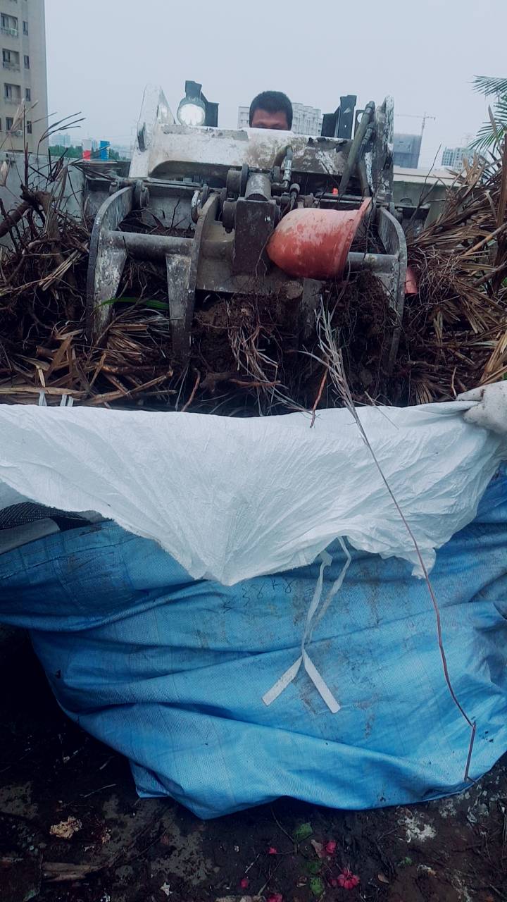 大樓植物景觀花園清運&nbsp;