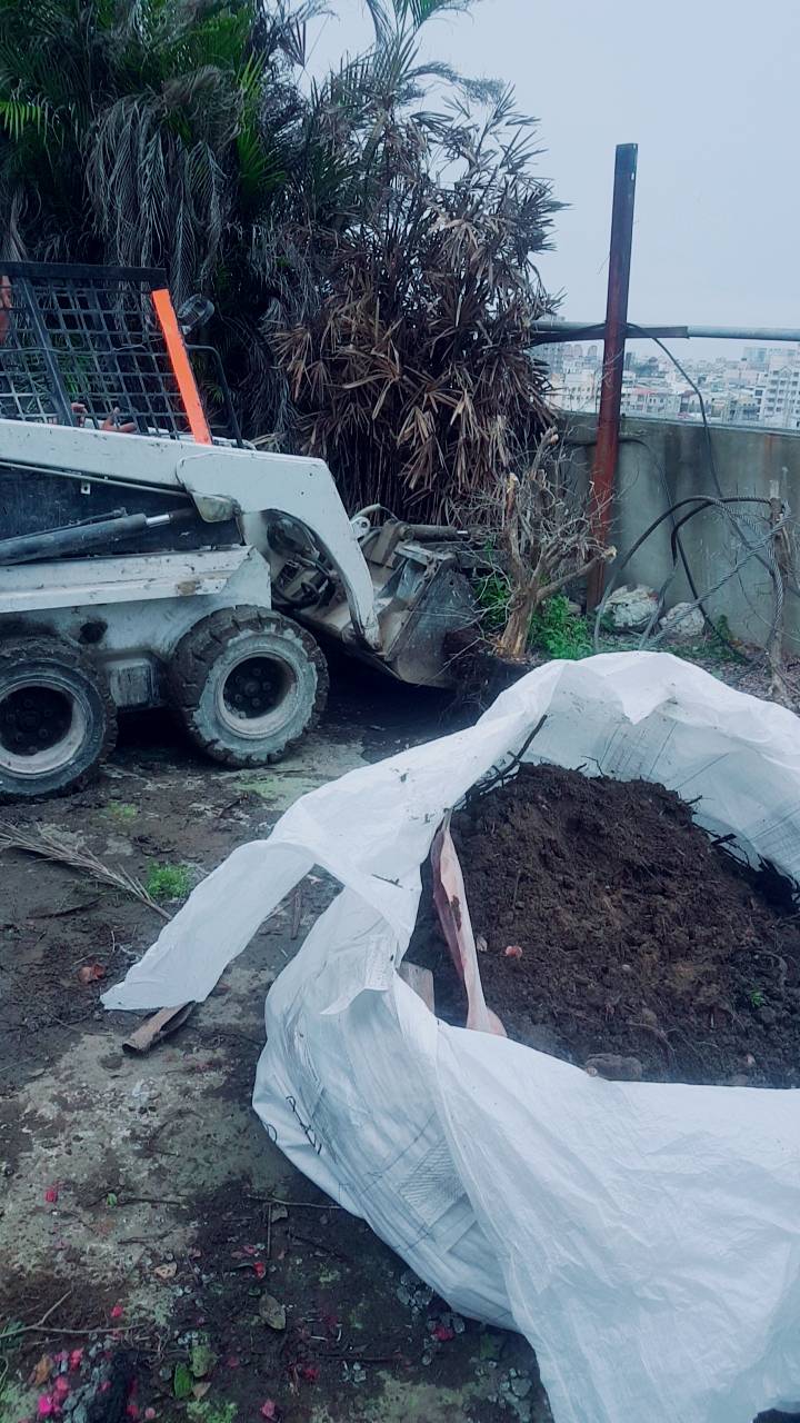 大樓植物景觀花園清運&nbsp;