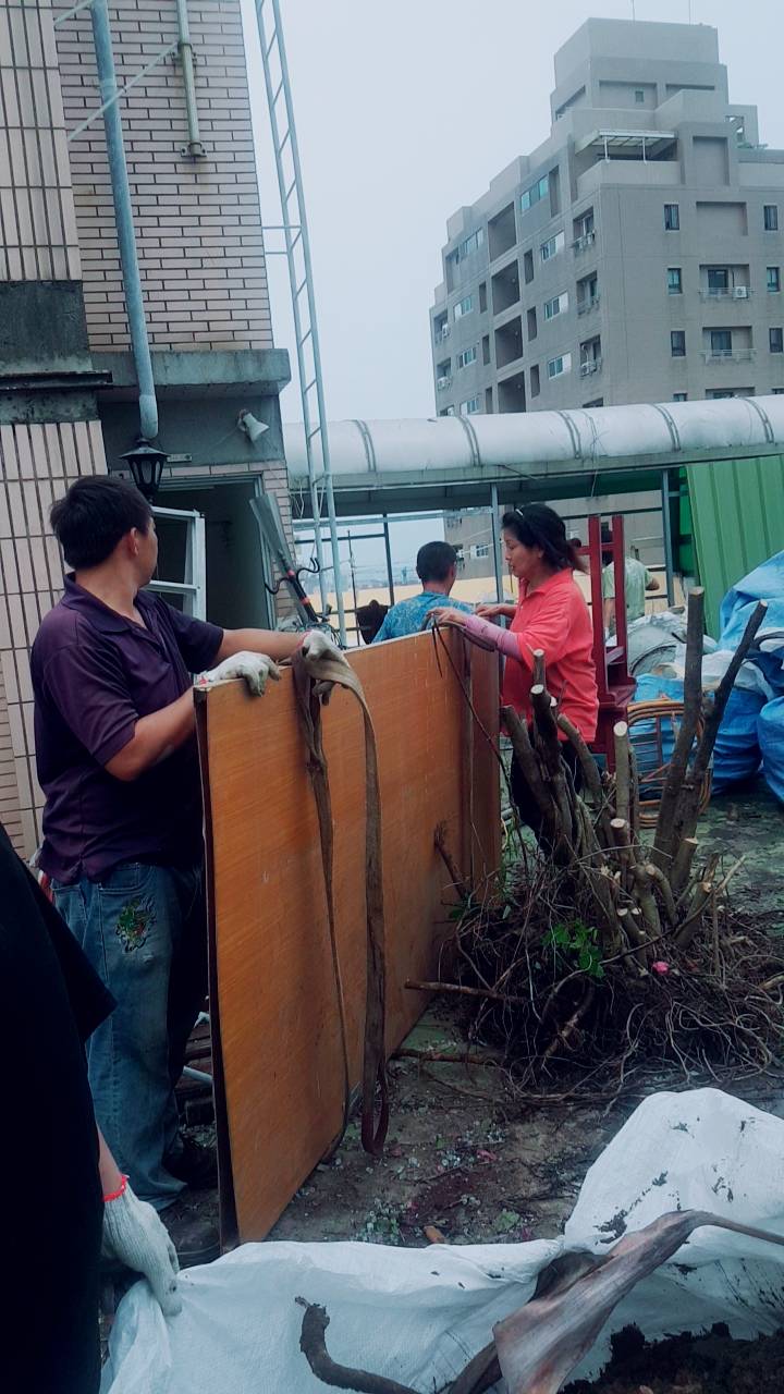 大樓植物景觀花園清運&nbsp;