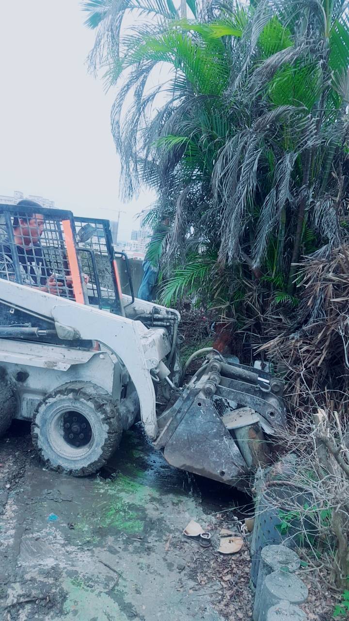 大樓植物景觀花園清運