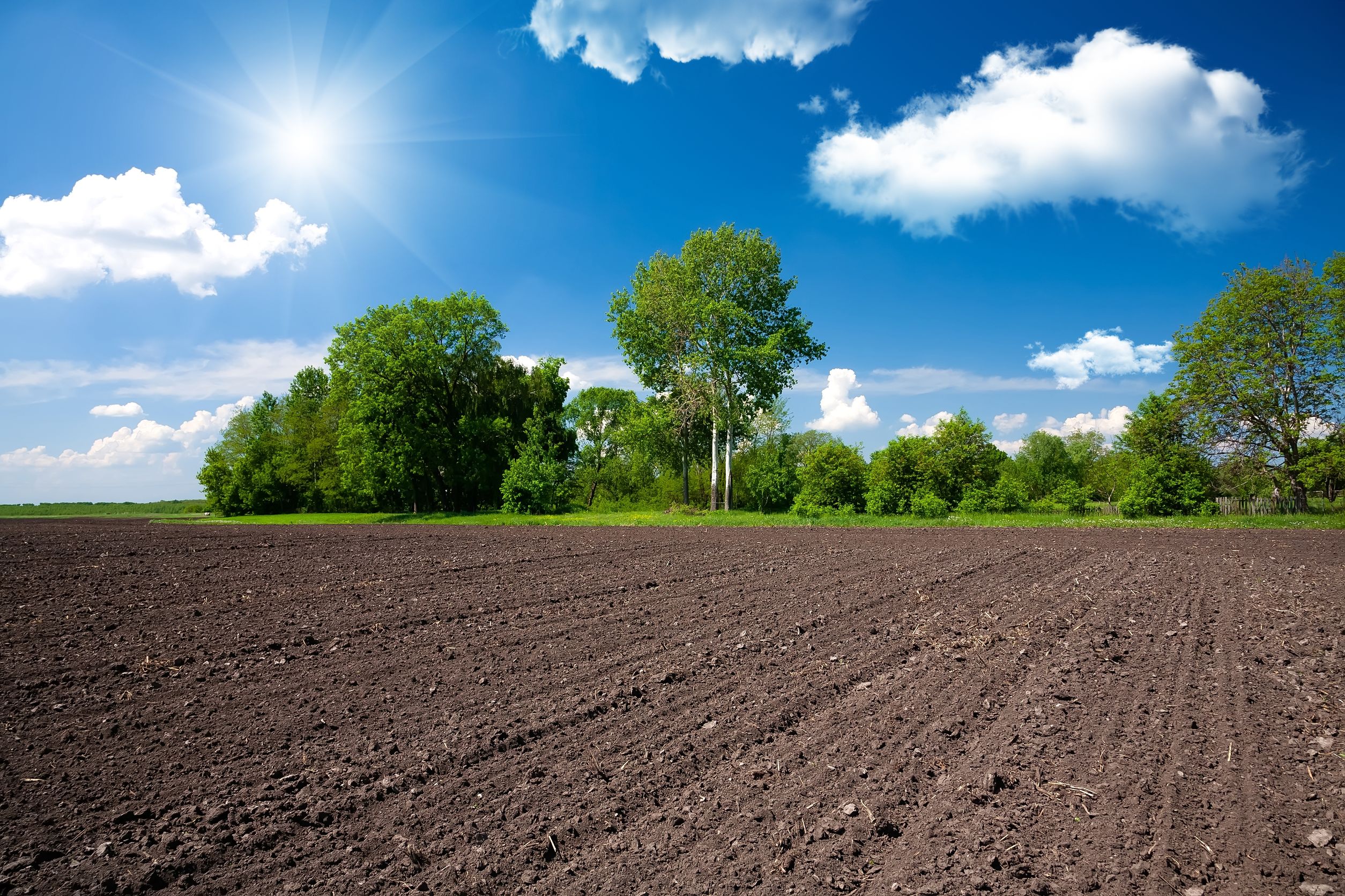 土地回填整地整修&nbsp;