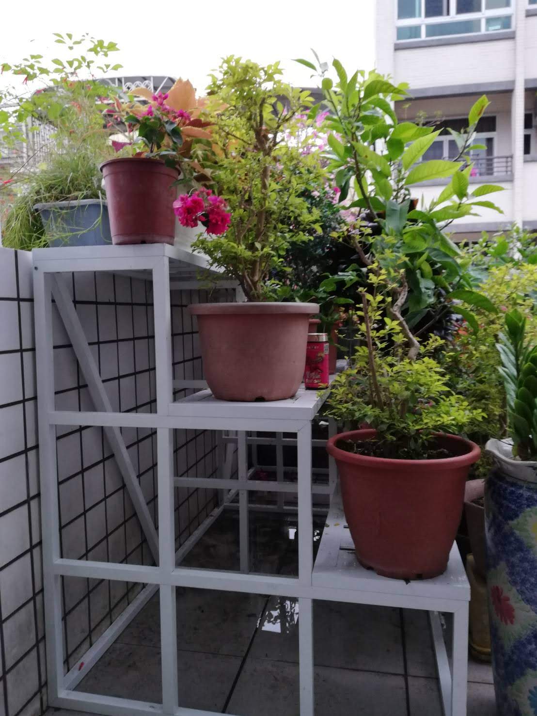 步步高陞花台就定位