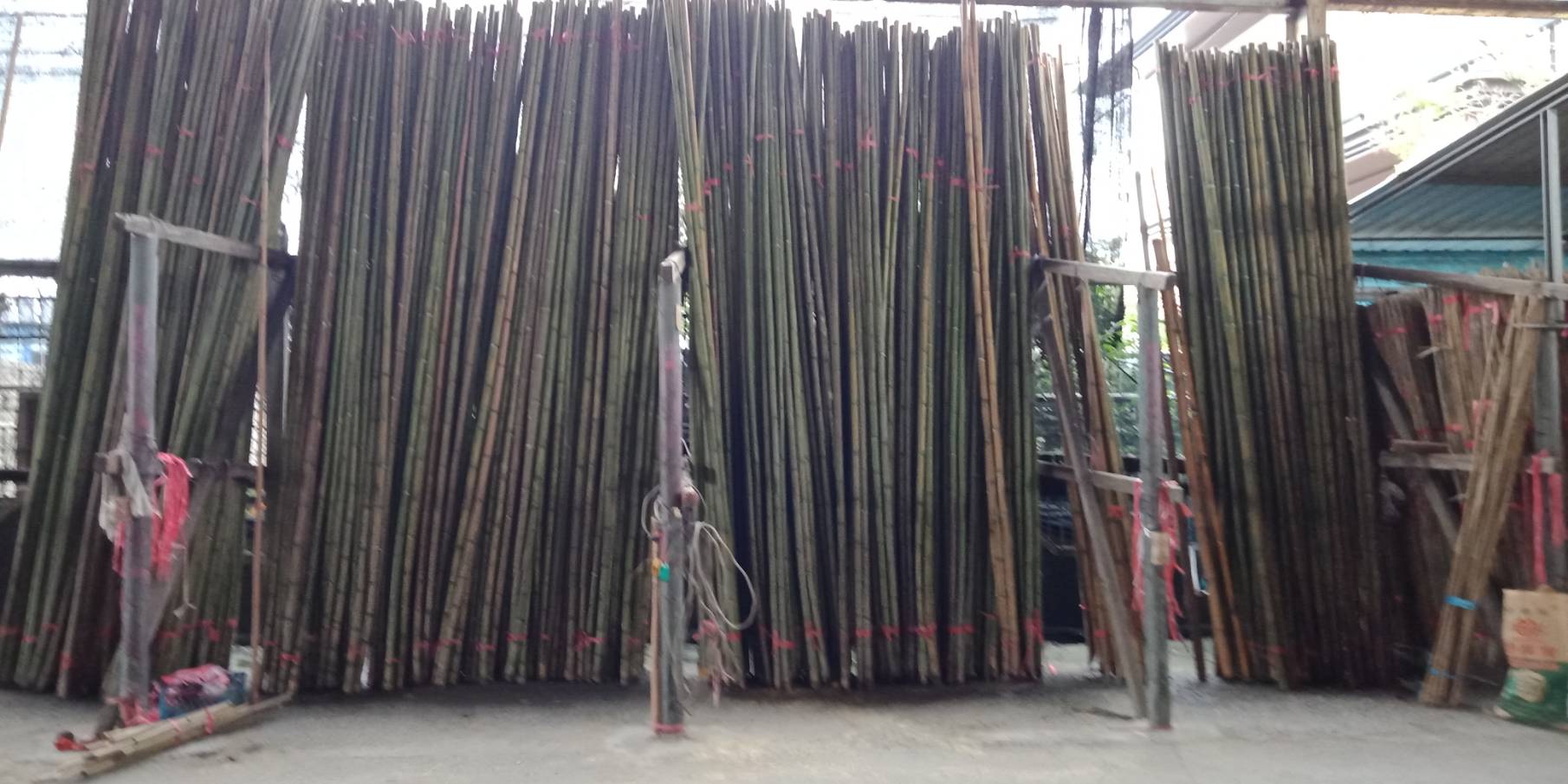 潮州益友農用竹資行-桂竹