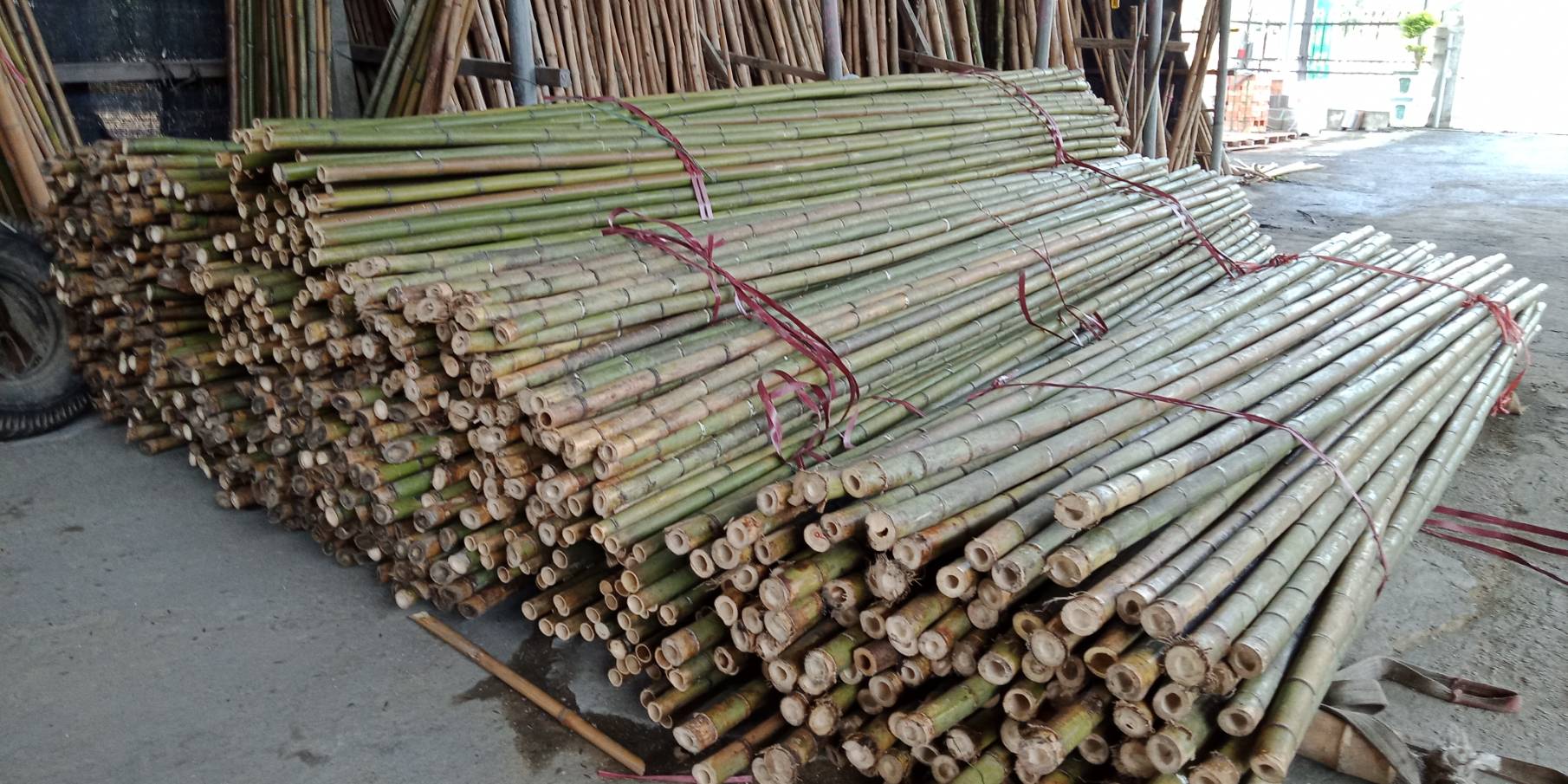 潮州益友農用資材行-桂竹