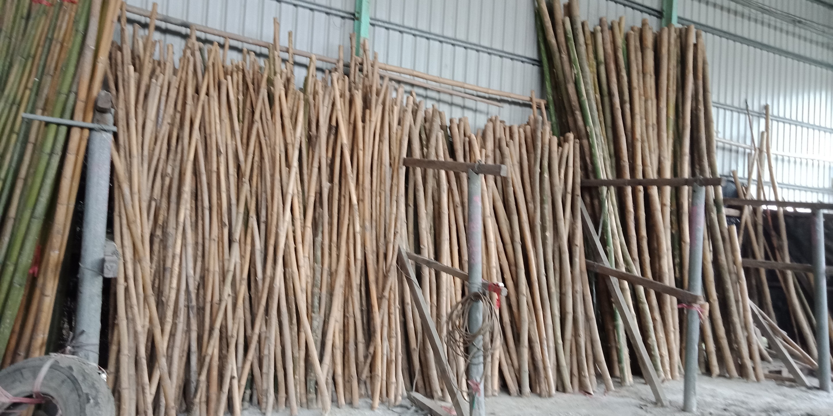 潮州益友農用竹資行-刺竹頭