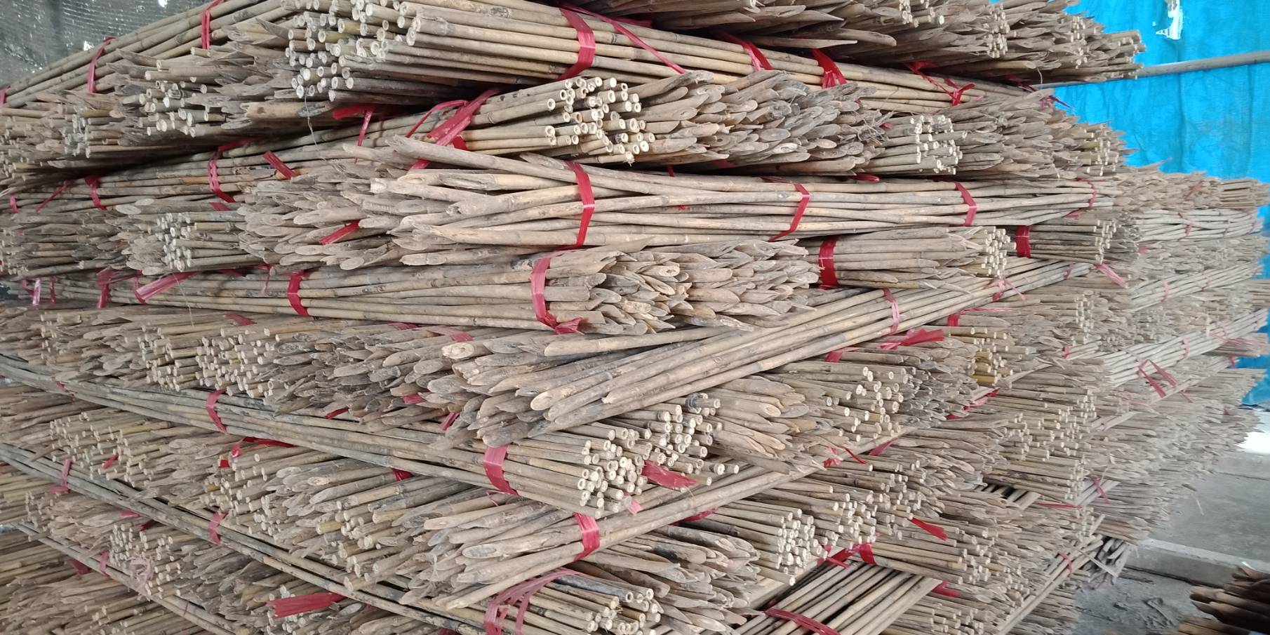 潮州益友農用竹子-豆籬