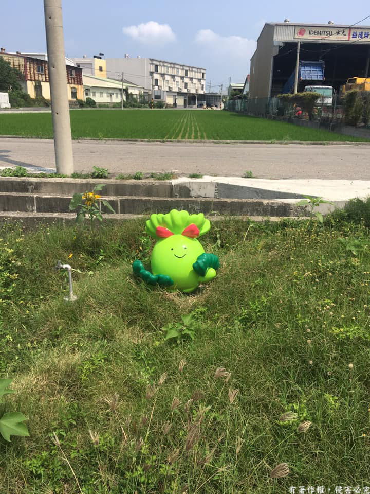 蔬菜公仔-frp企業形象公仔