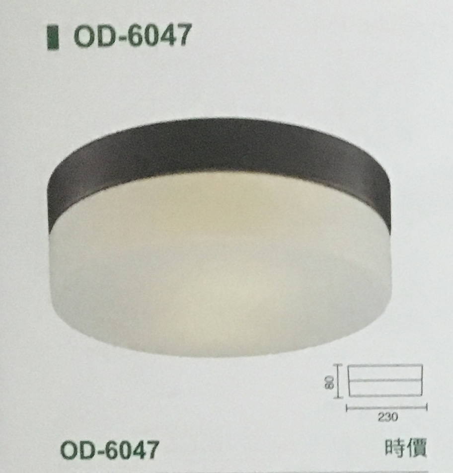 吸頂燈-OD6047