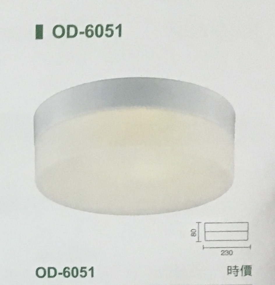 吸頂燈-OD6051
