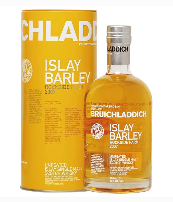 布萊迪艾雷島單一純麥蘇格蘭威士忌