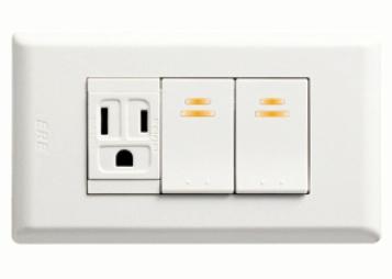 雙開關單接地插座