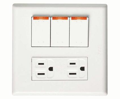 三開關接地雙插座