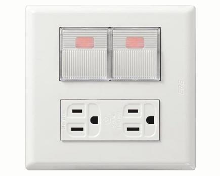 雙開關雙接地插座